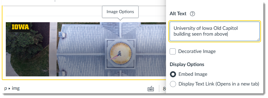 Screenshot of Image Option menu with alternative text entered