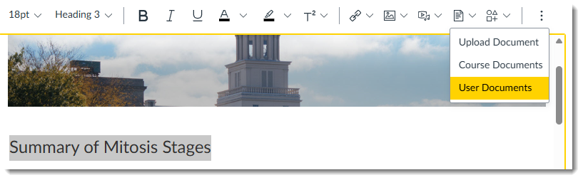 Screenshot of highlighted text "Summary of Mitosis Stages" with Insert link to User Documents selected in the Rich Content Editor toolbar